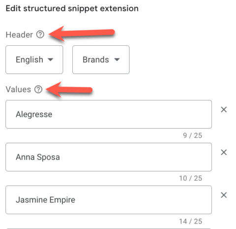 Google Ads structured code snippet extensions