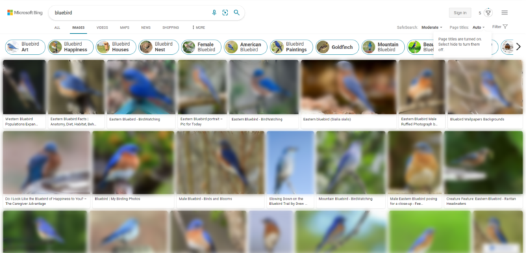 Eleven Best Image Search Engines For Visual Content . Bing Image Search Want an opportunity to Google? 