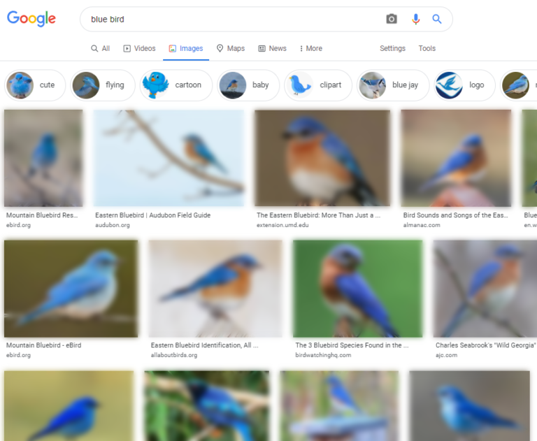البحث عن الصور من Google