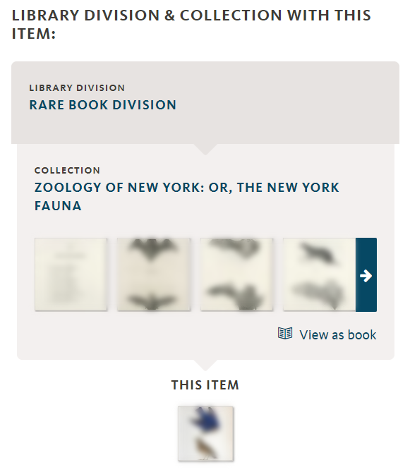 The NYPL Digital Collections