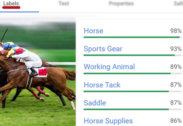 Screenshot of Google Vision AI identifying objects in an uploaded photo