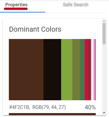 اسکرین شات ابزار Google Vision که رنگ های غالب یک تصویر را شناسایی می کند
