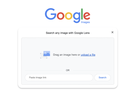 Moteur de recherche d'images Google 