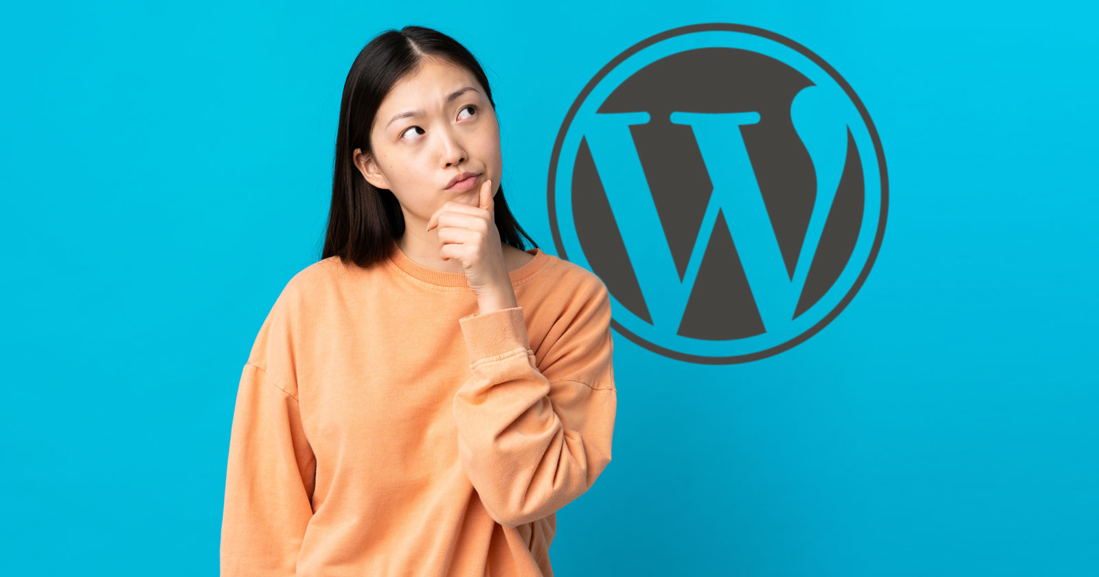 WordPress Drops Safety Assist for Older Installations