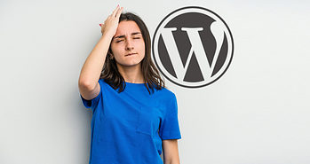 WordPress Considers Historic Development Change