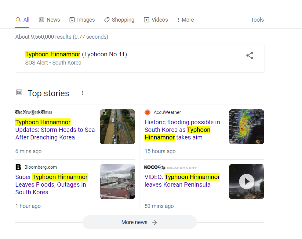 typhoon hinnamonor google search