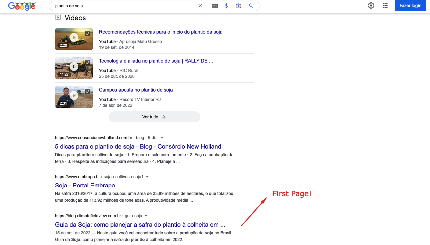 Print of Google Serp First Page 